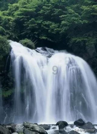 lpl买押注那个app靠谱点的